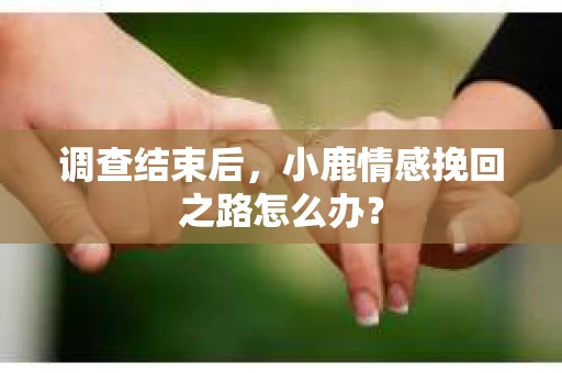 调查结束后，小鹿情感挽回之路怎么办？