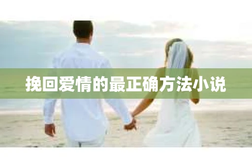 挽回爱情的最正确方法小说