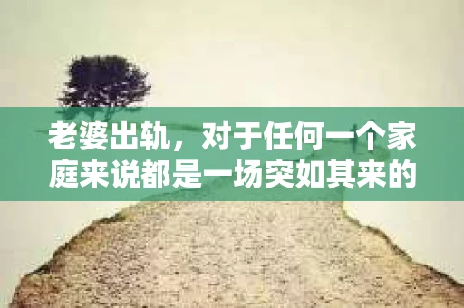 老婆出轨，对于任何一个家庭来说都是一场突如其来的风暴。面对这样的困境，如何挽回婚姻，重拾家庭的和谐，成为了许多人迫切想要了解的问题。今天，我们就来聊聊这个敏感而现实的话题——老婆出轨最好的挽回办法。