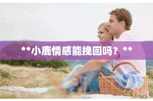 **小鹿情感能挽回吗？**