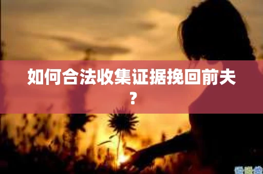 如何合法收集证据挽回前夫？
