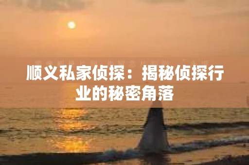 顺义私家侦探：揭秘侦探行业的秘密角落