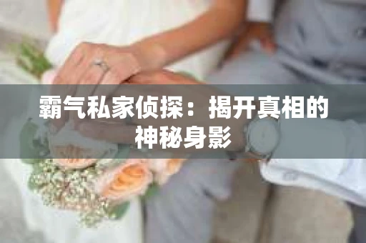 霸气私家侦探：揭开真相的神秘身影