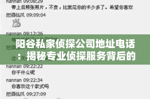 阳谷私家侦探公司地址电话：揭秘专业侦探服务背后的故事