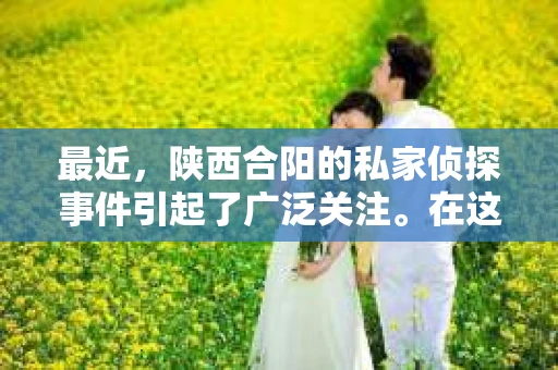最近，陕西合阳的私家侦探事件引起了广泛关注。在这个信息爆炸的时代，隐私保护显得尤为重要。今天，我们就来聊聊这个事件，看看它背后的一些故事。
