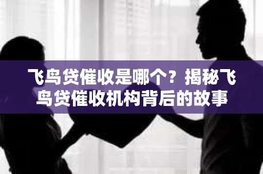 飞鸟贷催收是哪个？揭秘飞鸟贷催收机构背后的故事