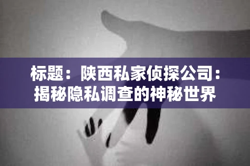 标题：陕西私家侦探公司：揭秘隐私调查的神秘世界