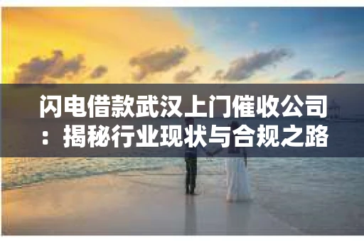 闪电借款武汉上门催收公司：揭秘行业现状与合规之路
