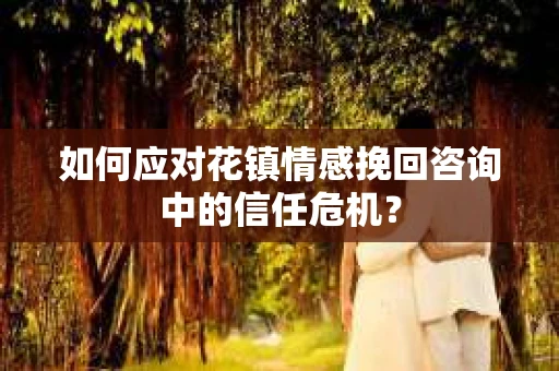 如何应对花镇情感挽回咨询中的信任危机？