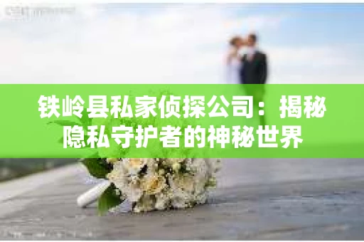 铁岭县私家侦探公司：揭秘隐私守护者的神秘世界