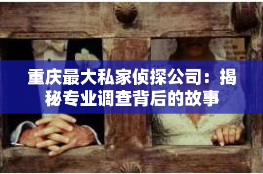 重庆最大私家侦探公司：揭秘专业调查背后的故事