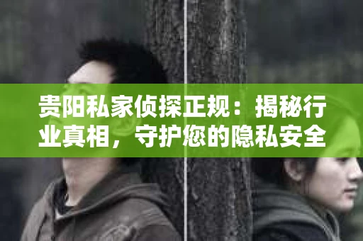 贵阳私家侦探正规：揭秘行业真相，守护您的隐私安全