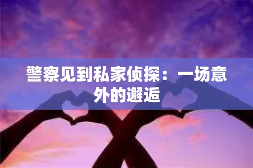 警察见到私家侦探：一场意外的邂逅