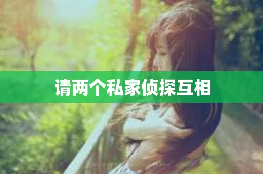 请两个私家侦探互相