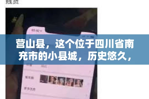 营山县，这个位于四川省南充市的小县城，历史悠久，风景秀丽。但在这个宁静的小县城里，你是否会好奇，有没有私家侦探的存在呢？今天，我就来和大家聊聊这个话题。