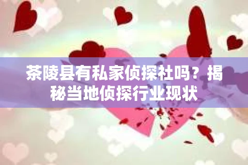 茶陵县有私家侦探社吗？揭秘当地侦探行业现状