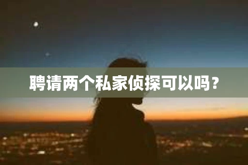 聘请两个私家侦探可以吗？