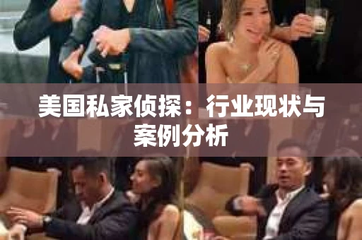 美国私家侦探：行业现状与案例分析