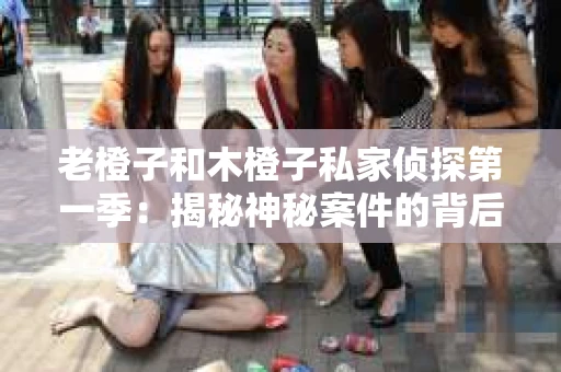 老橙子和木橙子私家侦探第一季：揭秘神秘案件的背后