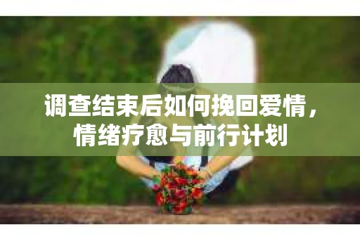 调查结束后如何挽回爱情，情绪疗愈与前行计划