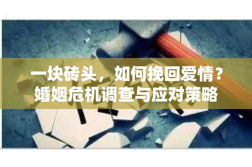 一块砖头，如何挽回爱情？婚姻危机调查与应对策略