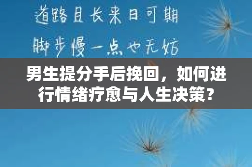男生提分手后挽回，如何进行情绪疗愈与人生决策？