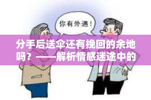 分手后送伞还有挽回的余地吗？——解析情感迷途中的决策