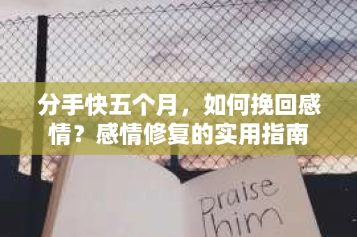 分手快五个月，如何挽回感情？感情修复的实用指南